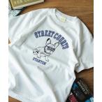 ショッピングメンズ tシャツ tシャツ Tシャツ メンズ fLAnsisCA / Print Tshirt 24SS (3)