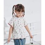tシャツ 配色メロー リブコットン Tシャツ キッズ 子供服 女の子