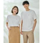 ショッピングtシャツ レディース 半袖 tシャツ Tシャツ レディース APクラシック シェア 半袖 Tシャツ