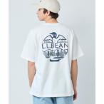 tシャツ ケアフリー・アンシュリンカブル・ティ、半袖ポケット付き グラフィック ジャパン・フィット メンズ レディース