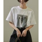 ショッピングカール tシャツ Tシャツ レディース 「WEB限定」「KARL BLOSSFELDT（カールブロスフェルト）」フォトTシャツ/24SS