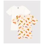 肌着 半袖Ｔシャツ２枚組 キッズ 子