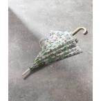 傘 「Fishs Eddy(フィッシュエディ)」PLANTビニール傘 レディース メンズ