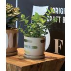 花瓶 POT DESIRE プラントポット 鉢 デジレ