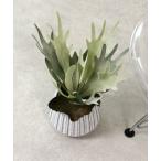 花瓶フェイクグリーンポットコウモリ...