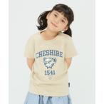 tシャツ SHIPS Colors_TeddyBear(R) プリント＆ステッチ TEE(80~150cm) キッズ 子供服