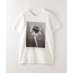 tシャツ Tシャツ レディース 「LISA KING」BLOMEN SEIZOEN/Tシャツ