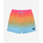 水着 「Hurley/ハーレー」M CANNONBALL VOLLEY 17 4wayストレッチボードショーツ 水着 サーフトランクス メンズ