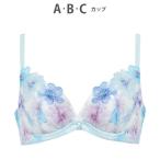 ブラジャー 「夏めくブラ」