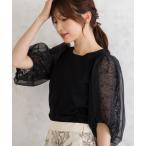 tシャツ レース切替袖カットソー レディース