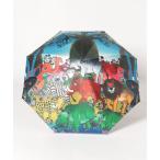 傘 「チャイハネ」ティンガ風景日傘 晴雨兼用 レディース メンズ