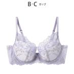 ブラジャー 「長時間、バストをしっかりホールド・脇高・まる胸メイク」ホールドデイブラ B-Ccup