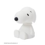 照明 First Light Snoopy