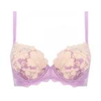 ブラジャー トリンプ レッドレーベル 0095 ブラジャー B-Fカップ