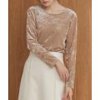 tシャツ シアーベロアベーシックトップス レディース