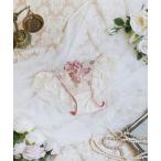 ショーツ エリオット ノーマルショーツ