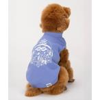  собака одежда chi- Be картон вязаный / маленький размер собака * средний собака 