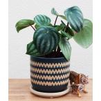 ショッピング花瓶 花瓶 3.5号 インナ