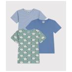 肌着 半袖Ｔシャツ３枚組 キッズ 子供