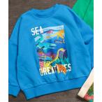 トレーナー  大陸と海の恐竜トレーナー キッズ 子供服 男の子