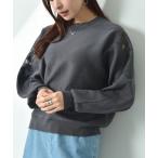 ニット セーター オーガンジー刺繍