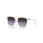 サングラス Ray-Ban レイバン サングラス Dmodels 0RB2206D (アジアンデザインモデル・ローブリッジフィット) メンズ レディー