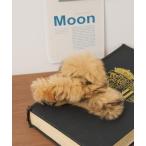 ヘアクリップ WEGO/カラーファーバンス