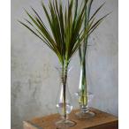 花瓶 GLASS VASE ALTO H305/フラワーベース アルト