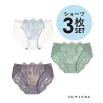 ショーツ ショーツ3枚セット(3)