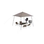 インスタントバイザーシェードIII /M(グレージュ)