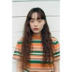 tシャツ エンブロイダリー マルチボーダー ショートスリーブ Tシャツ レディース