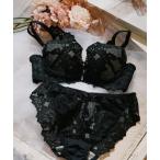 ブラジャー ショーツセット 「northerly bra フィットシリーズ 谷間美人」谷間美人ブラセット