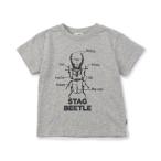 tシャツ 「ジュニア対応」STAG BEETLE 半袖Tシャツ キッズ 子供服 男の子 女の子