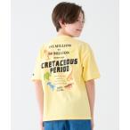 tシャツ 「綿100%」カラフルバックプリントT(恐竜) キッズ 子供服 男の子 女の子