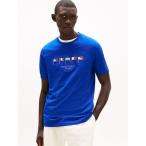 tシャツ ヒルフィガーマルチフラッグTシャツ メンズ
