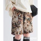 「antiqua」 ハーフパンツ FREE ベージュ レディース