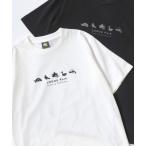 tシャツ 2025SS LOGOS/ロゴス 吸汗速乾 QUICK DRY カラフルフィッシュ アニマル イラストプリント 半袖Tシャツ レディース メ