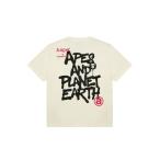 tシャツ AAPE BASIC TEE メンズ