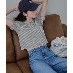tシャツ シアーボーダークロップドTシャツ レディース