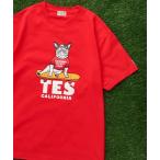 tシャツ TES SKATE BUHI T-SHIRT / Tシャツ メンズ レディース