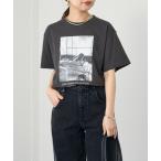 tシャツ フォトT レディース