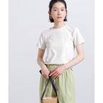 tシャツ ラメリブコンパクトT レディース