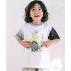 tシャツ 恐竜ピラミッドプリントサガラ刺しゅう袖配色Tシャツ(80~130cm) キッズ 子供服 男の子 女の子