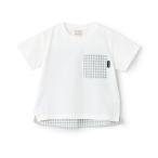 tシャツ ギンガムポケット半袖Tシャツ キッズ 子供服 男の子