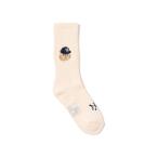 靴下 「別注」ROSTER SOX / MLB CATS SOX レディース