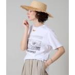 tシャツ フォト半袖Tシャツ レディース