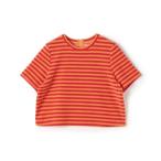tシャツ 「WEB先行予約」パイルボーダー ハーフスリーブプルオーバー レディース