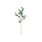  интерьер искусство зеленый po Lien se Moss eucalyptus green 