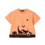 tシャツ 恐竜×星座半袖Tシャツ キッズ 子供服 男の子