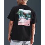 tシャツ NIKE SB/ナイキエスビー バックプリントTシャツ マックス90 HJ0894-010/HJ0894-323 メンズ レディース